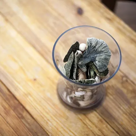 Aldamar Affittacamere 2*