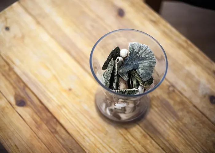 Aldamar 招待所 2*